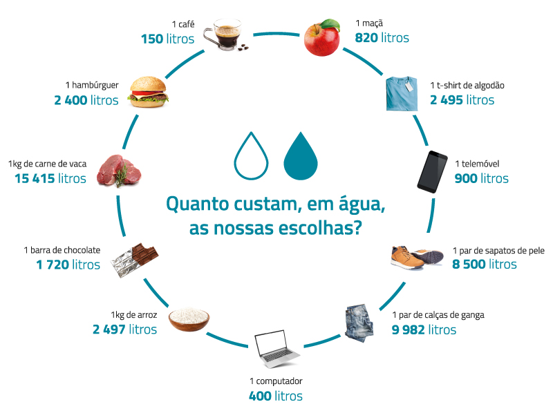 Infografia com o &quot;custo&quot; em água das nossas escolhas