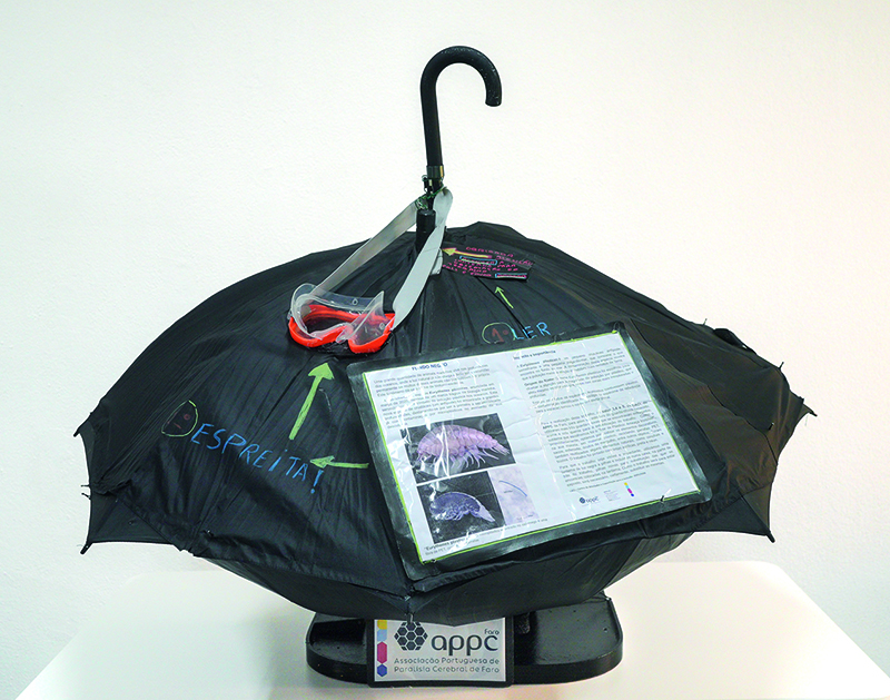 Descrição da imagem 2