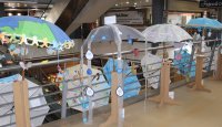 Exposição a Água e o Mar para mim, no mercado de Faro